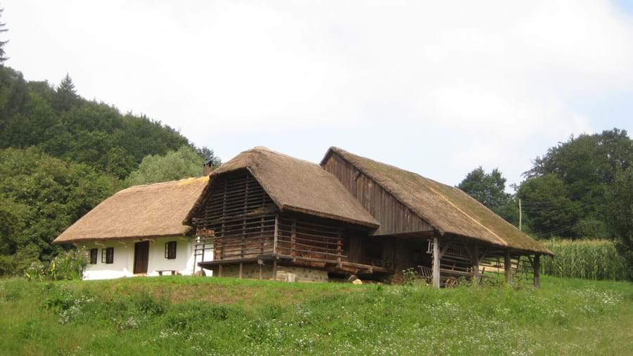 Pristna domača kulinarika