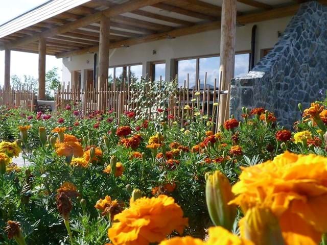 ايكو فيلا ايما - Eco Vila Ema