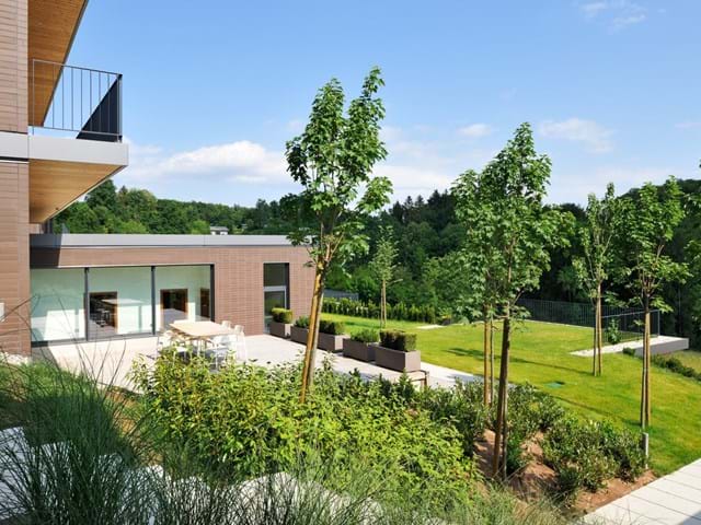 Oranda Village