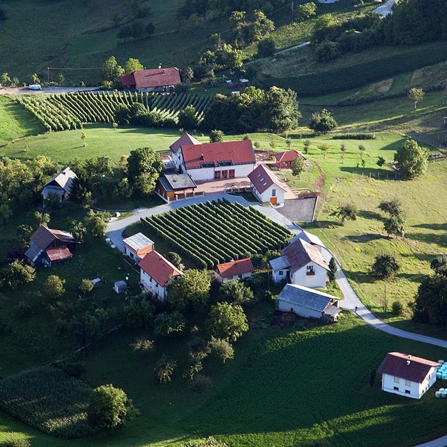 Villa Angelina 