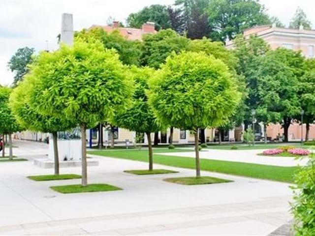 Evropska ploščad