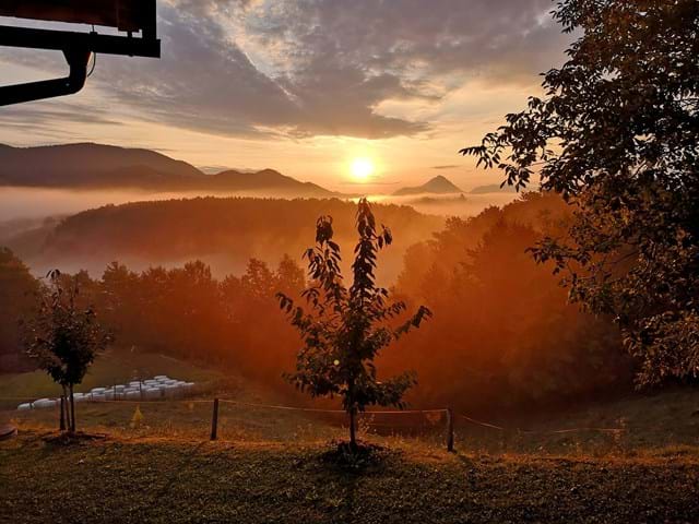 Turistična kmetija Marjanca