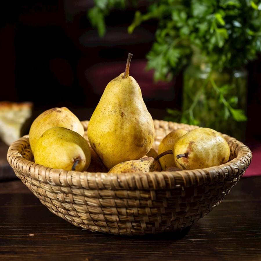 Steklarska juž'na: Healthy Edition